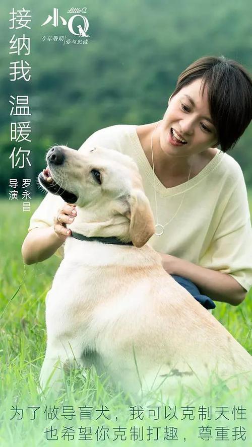 环境影响评价工程师证哪里能做