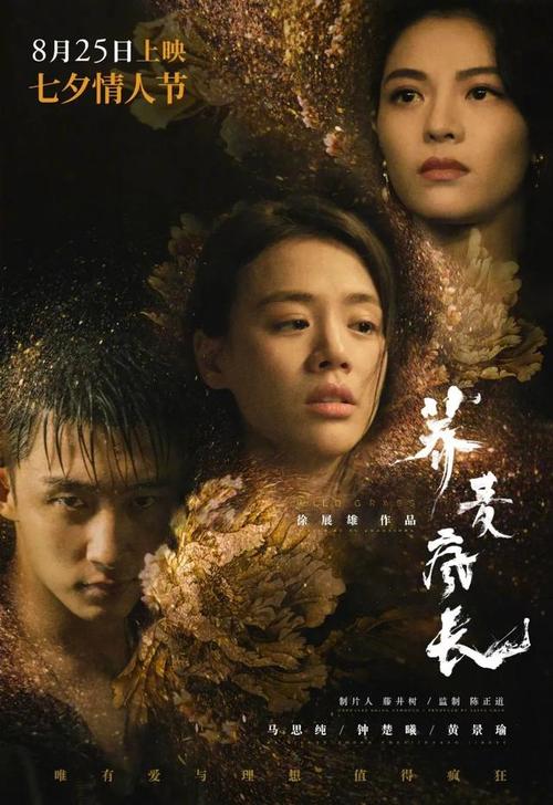 赫尔大学商业管理文凭证书